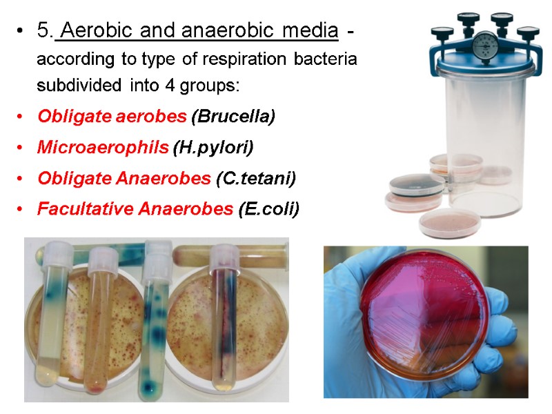 5. Aerobic and anaerobic media - according to type of respiration bacteria subdivided into